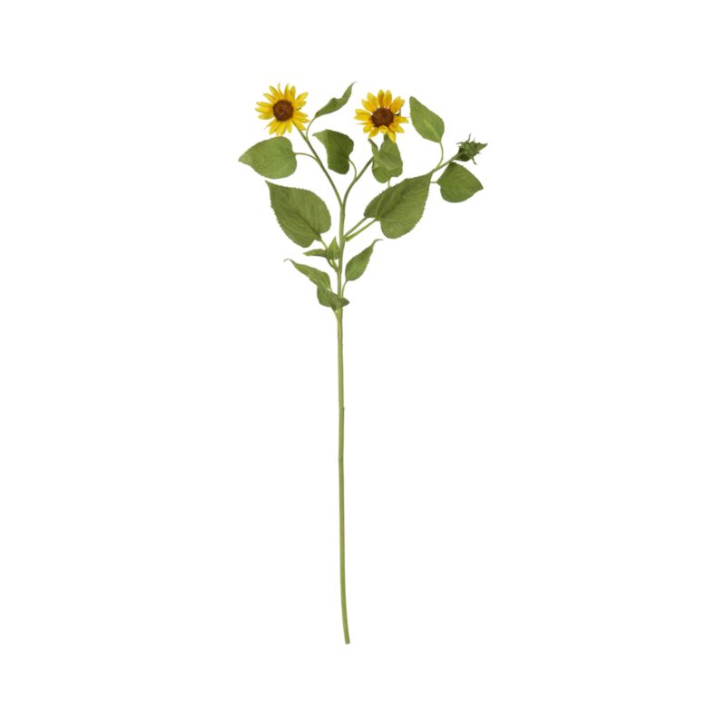 Small Sunflower Stem