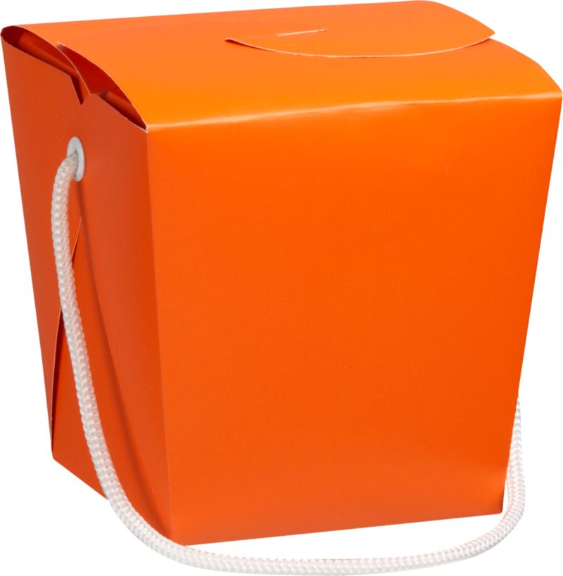 Orange-Magenta Take-Out Box
