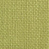 Talbot: Kiwi