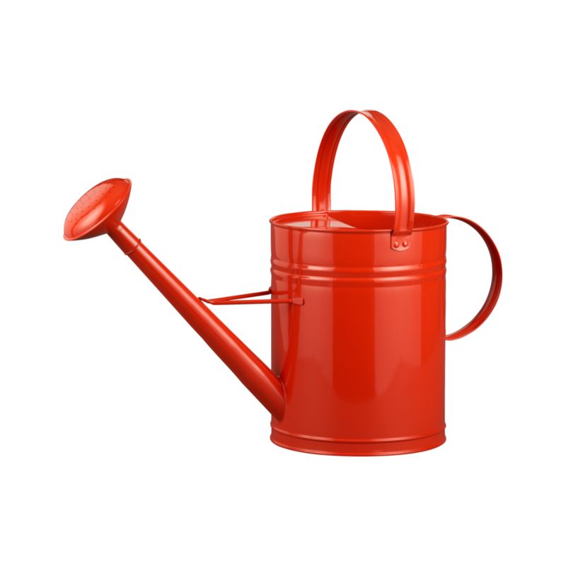 Tangerine Watering Can