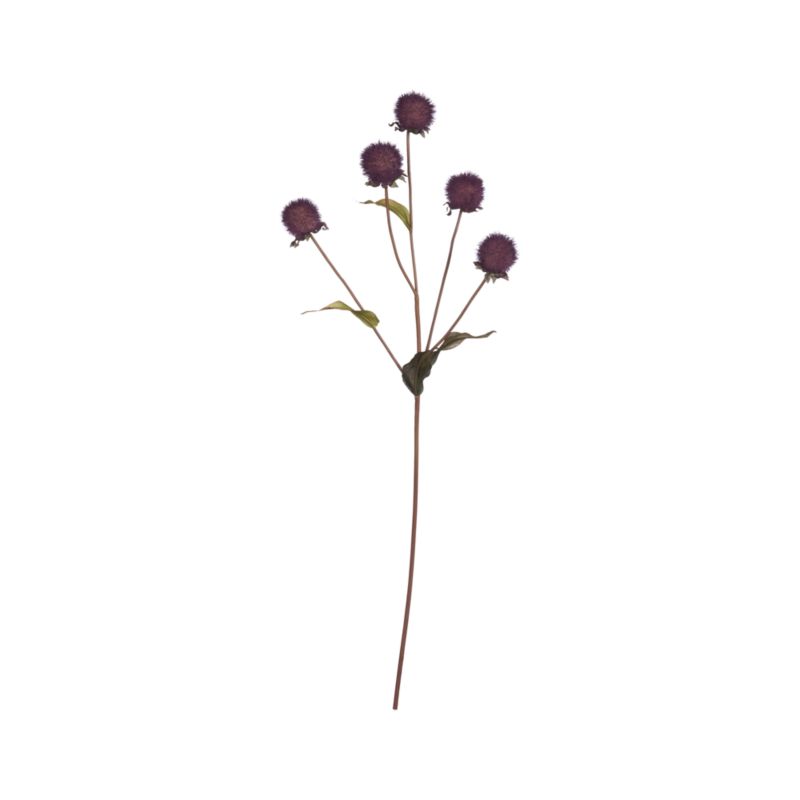 Thistle Stem