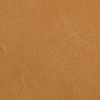 Tiburon: Toffee
