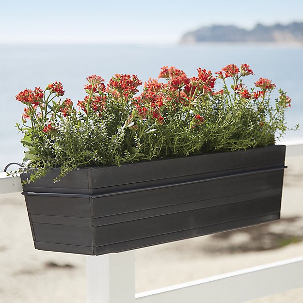 Tidore Rectangular Rail Planter and Rail Planter Hook Crate and Barrel