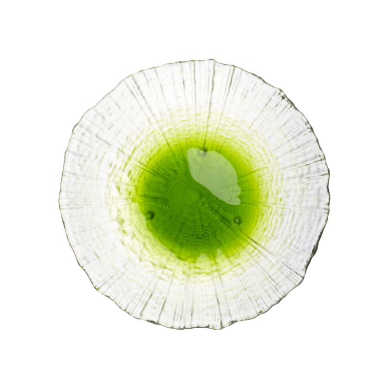 TingeAppPlateGreenS12