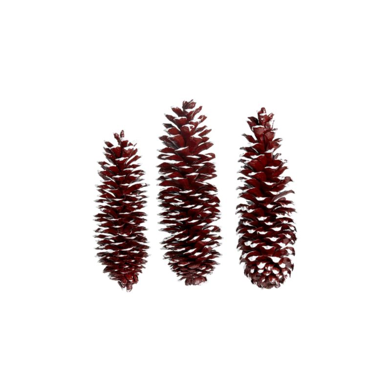 Crate and Barrel - Tipped Pinecones shopping in Crate and Barrel Christmas from crateandbarrel.com