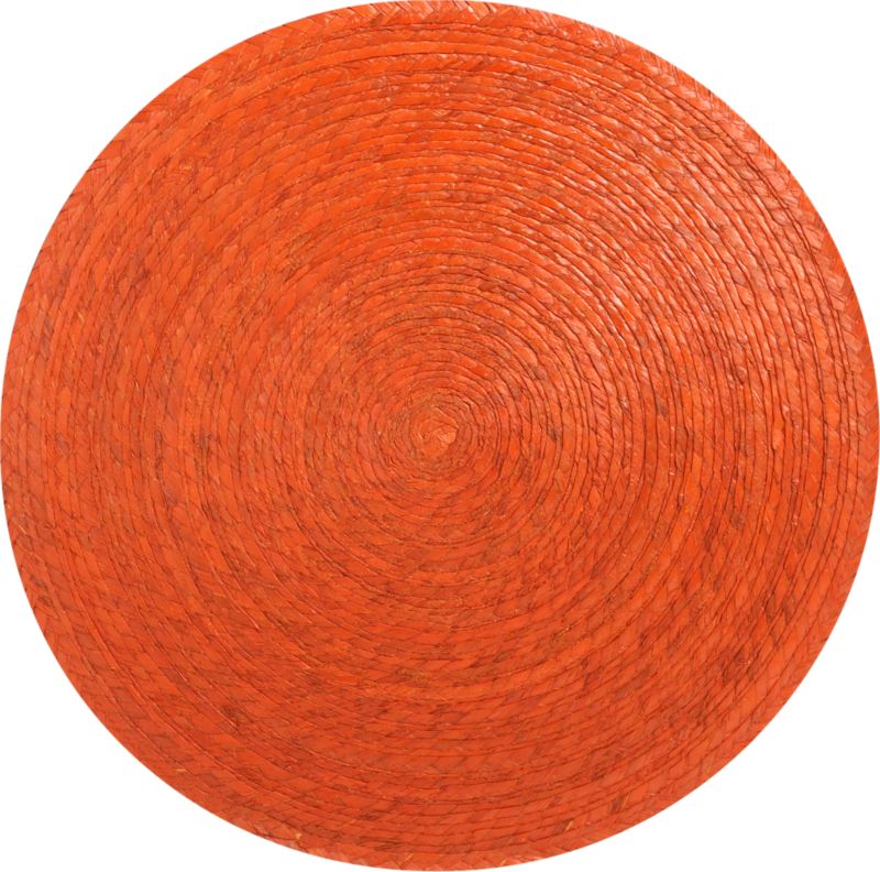 Tropical Palm Picante Placemat
