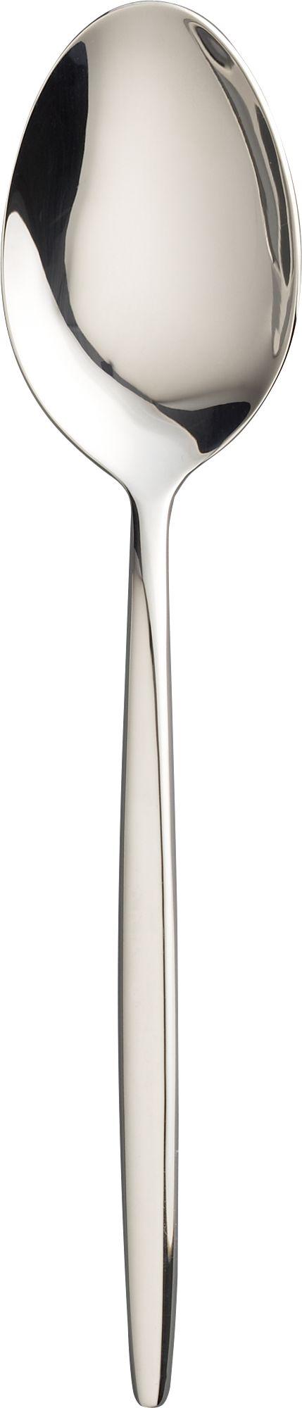 Serving Spoon.