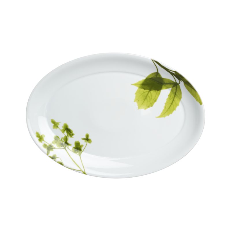 Verena Platter