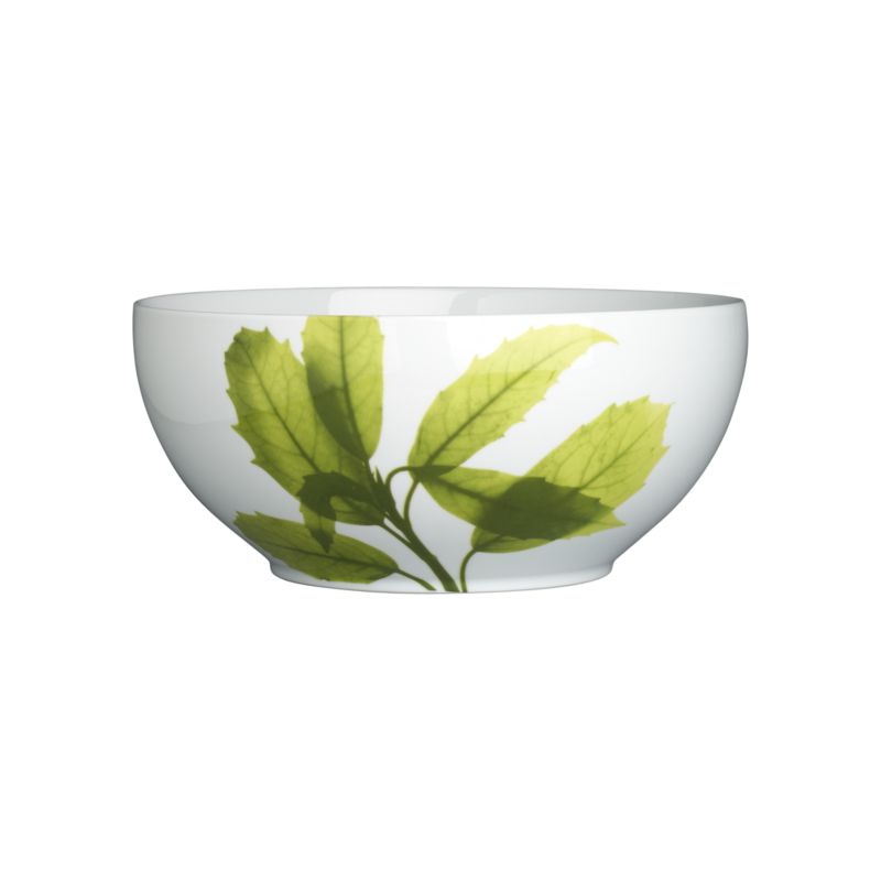 VerenaServeBowl9p75inF10