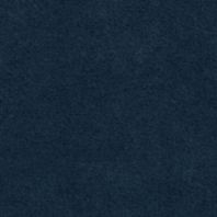 View: Navy