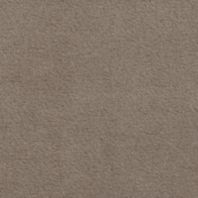 View: Taupe