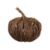 VinePumpkinLargeF11
