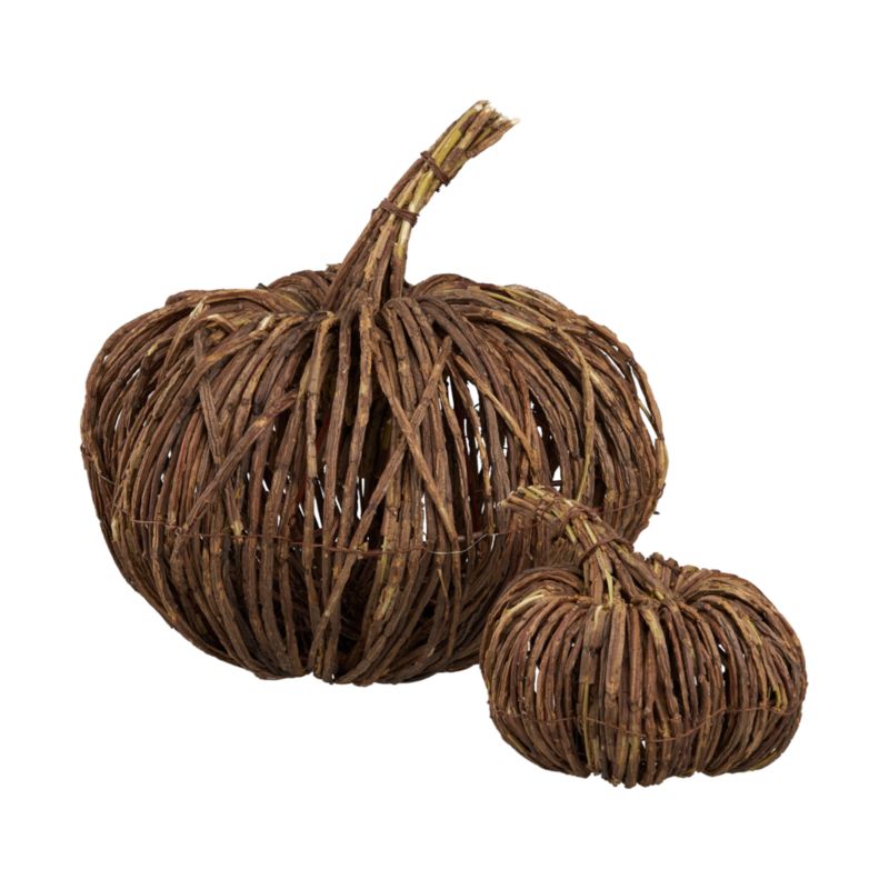 Vine Pumpkins