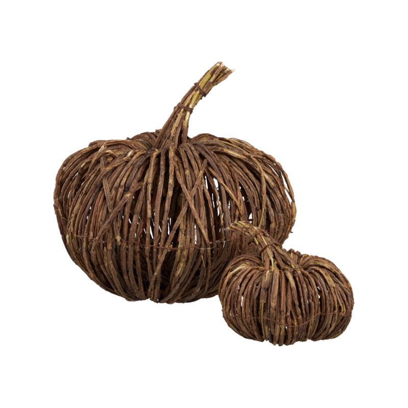 VinePumpkinsF11