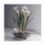 WaterLilyBwlPaperwhiHD02