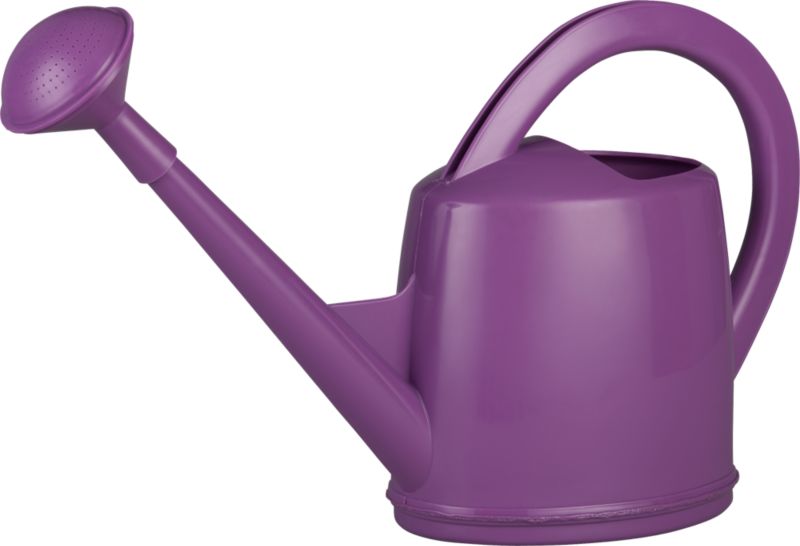 Berry Watering Can