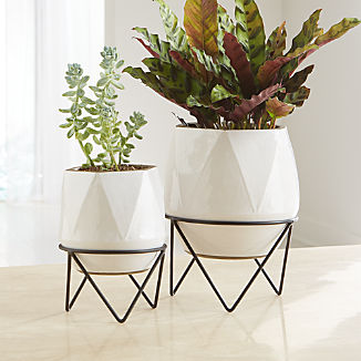 Aaro Planters with Stands