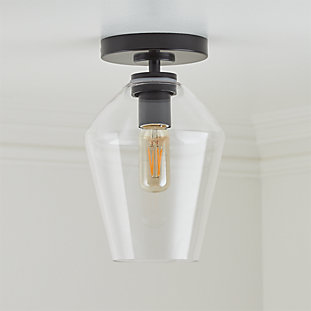Arren Black Flush Mount Light With Clear Round Shade Reviews Arren Black Flush Mount Light With
