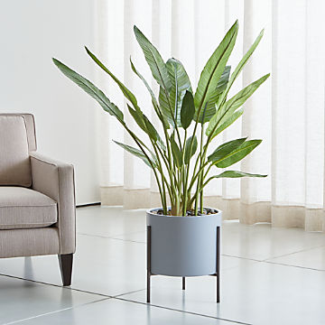 Silk Flowers And Artificial Plants Crate And Barrel