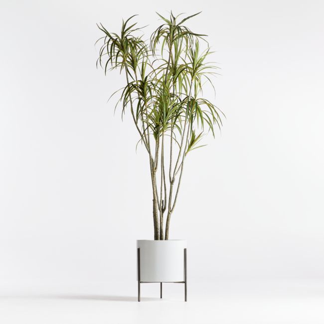 Online Designer Home/Small Office Artificial Potted Dracaena 6.5'