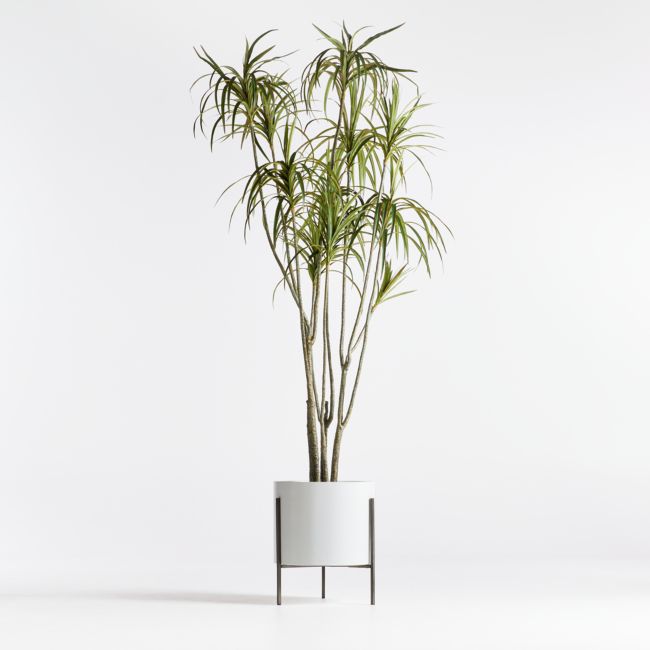 6.5在线设计师Home /小办公室人工盆栽龙血树属植物的