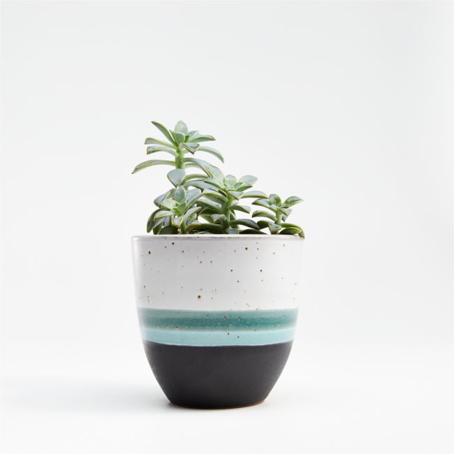 在线设计师厨房aveiro小蓝色种植者