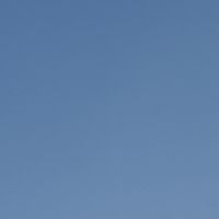 Night Blue