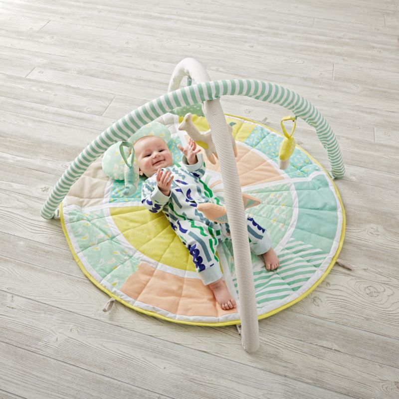 crate and barrel activity gym