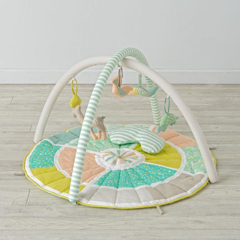 Blooming Baby Activity Gym + Reviews 