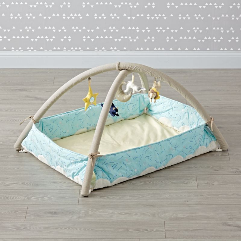 crate and barrel activity mat