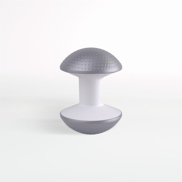 Humanscale Grey Ballo Chair Crate and Barrel