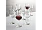 Boxed Wine Glasses, Set of 8