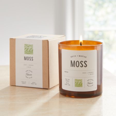 Brick And Mortar Moss Scented Candle Reviews Crate And Barrel