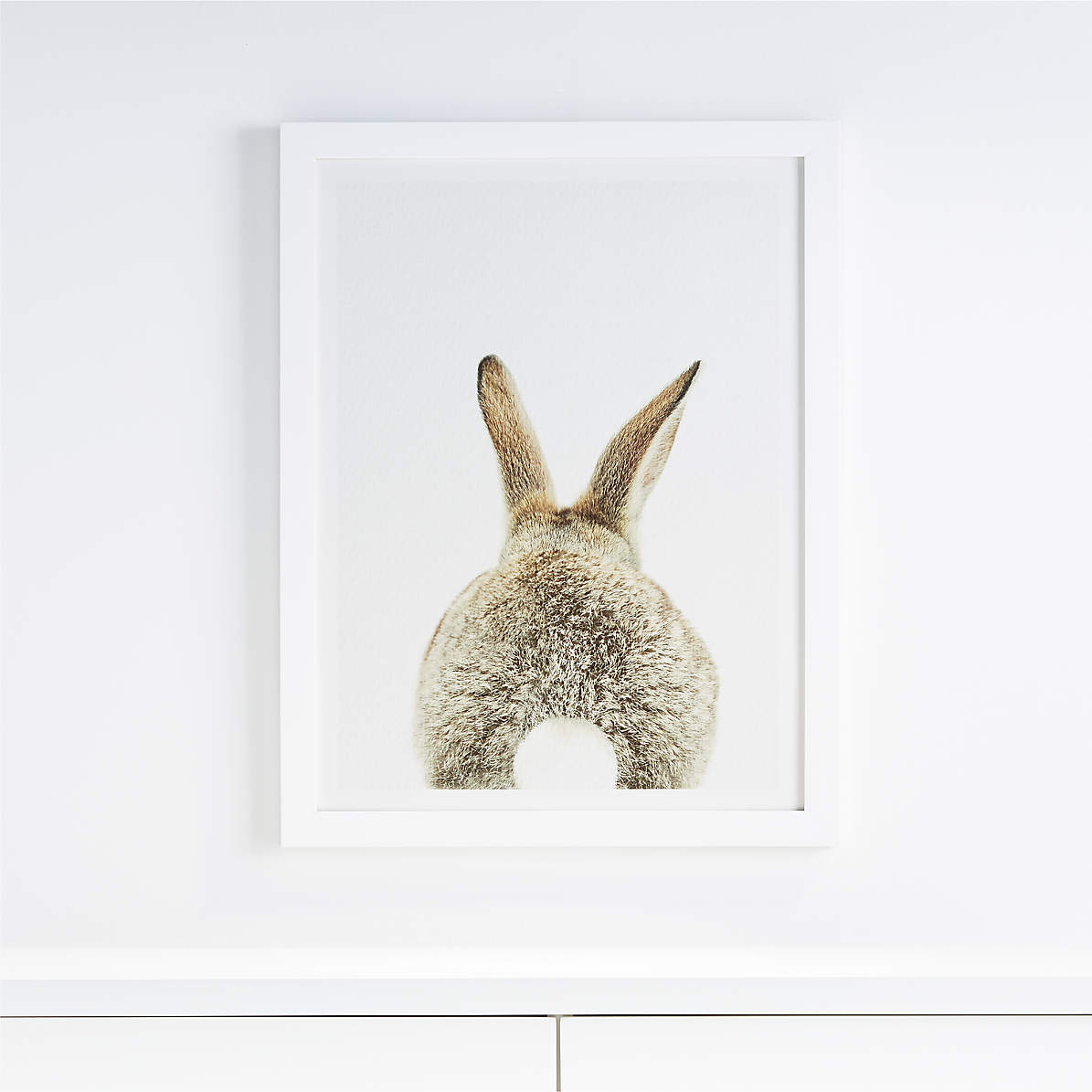 Bunny Tail Framed Wall Art Reviews Crate And Barrel