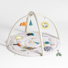 Image of Busy Baby Activity Gym Play Mat