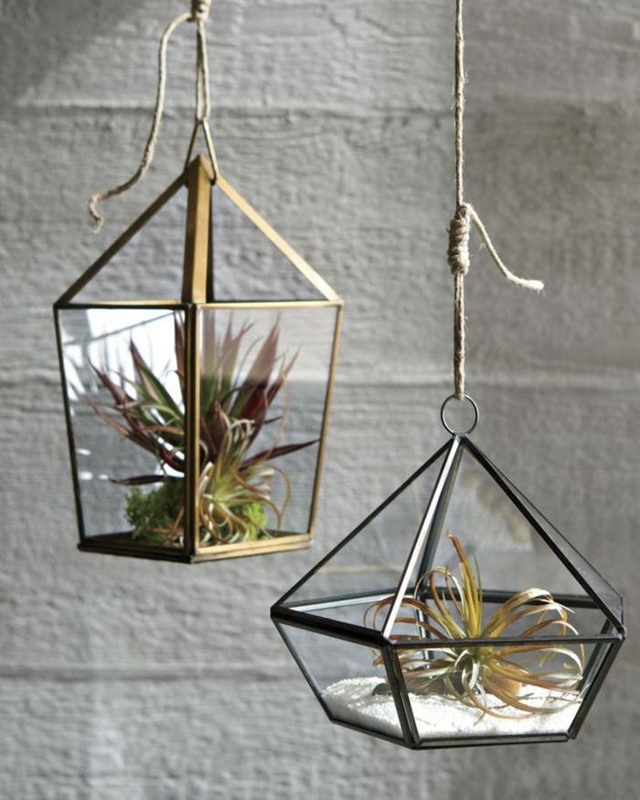 How to Build a Faux Terrarium