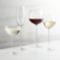 View product image Camille Long Stem Wine Glasses - image 1 of 12
