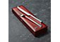 Stainless Steel Carving Set in Rosewood Box