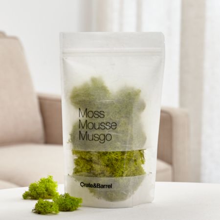 Chartreuse Bag Of Moss Reviews Crate And Barrel