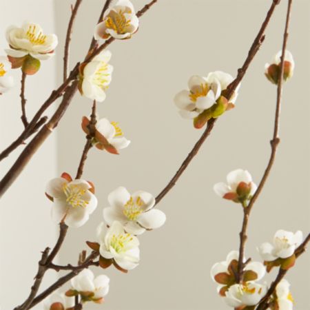 White Cherry Blossom Flower Branch Reviews Crate And Barrel Canada