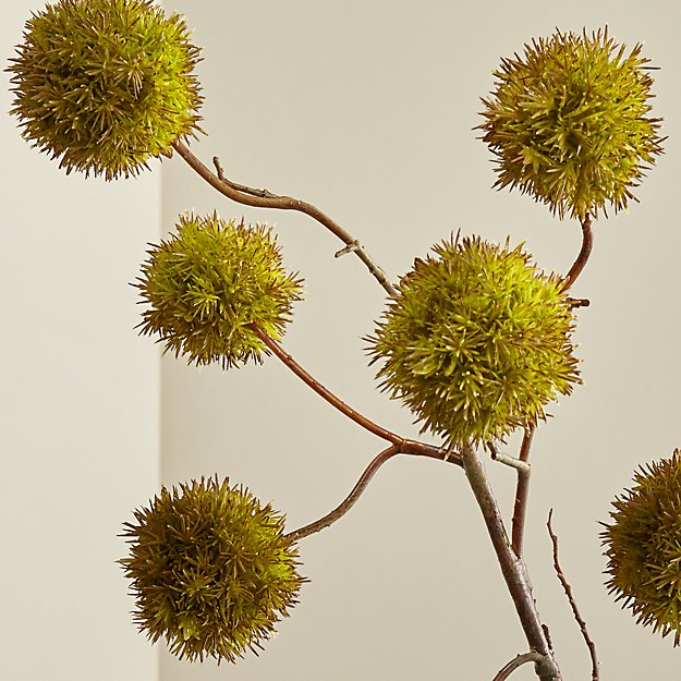 Cb2 Free Shipping >> Faux Chestnut Branch | Crate and Barrel Cb2 Free Shipping >> Faux Chestnut Branch | Crate and Barrel