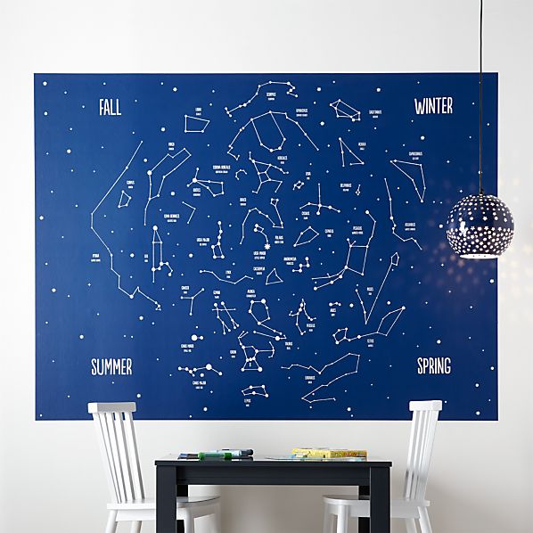 Constellation Ceiling Mural Shelly Lighting