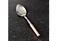 Spoon with Copper Handle