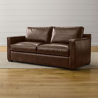 Davis Leather Queen Sleeper Sofa with Air Mattress