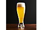 Direction 17 oz. Pilsner Beer Glass