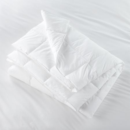 Hypoallergenic Lightweight Duvet Insert Crate And Barrel