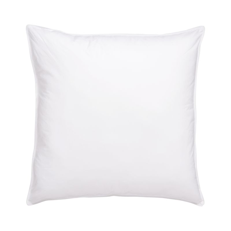 FeatherDown Euro Pillow + Reviews Crate and Barrel