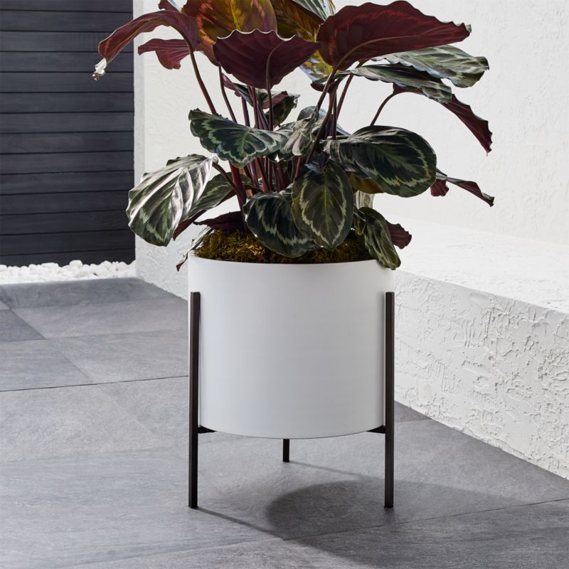 Dundee Low White Planter with Stand + Reviews | Crate and ...