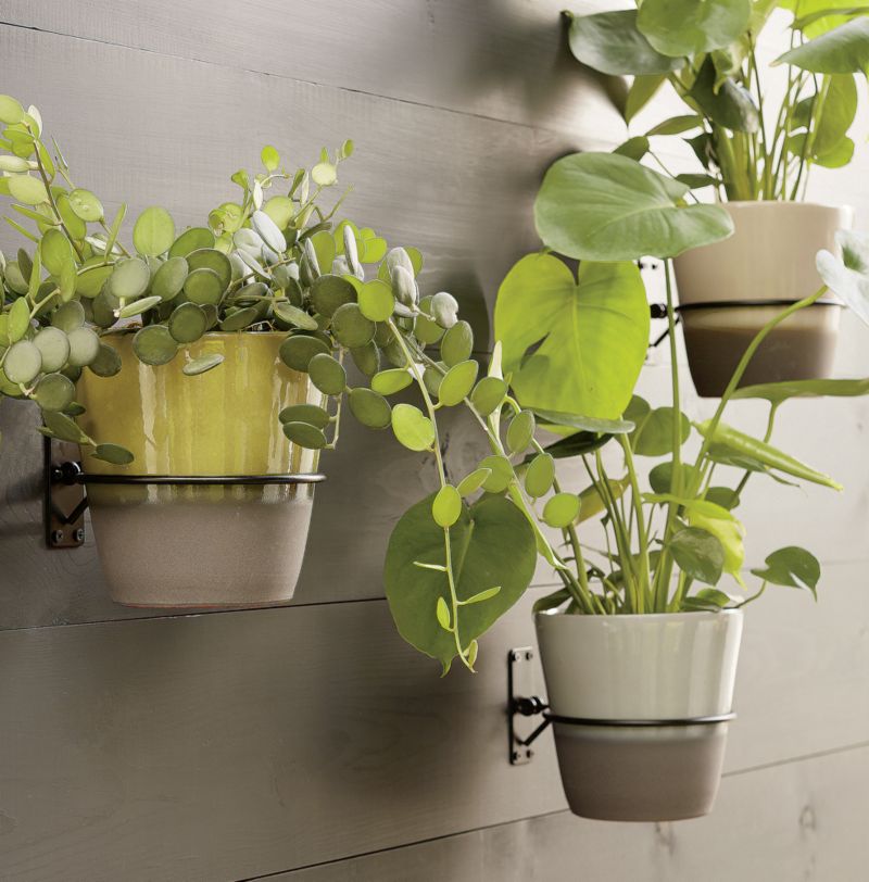 Wall Planter Hook