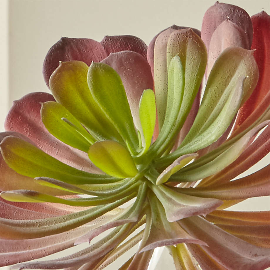 Artificial Echeveria Red Large Succulent Stem + Reviews | Crate and ...